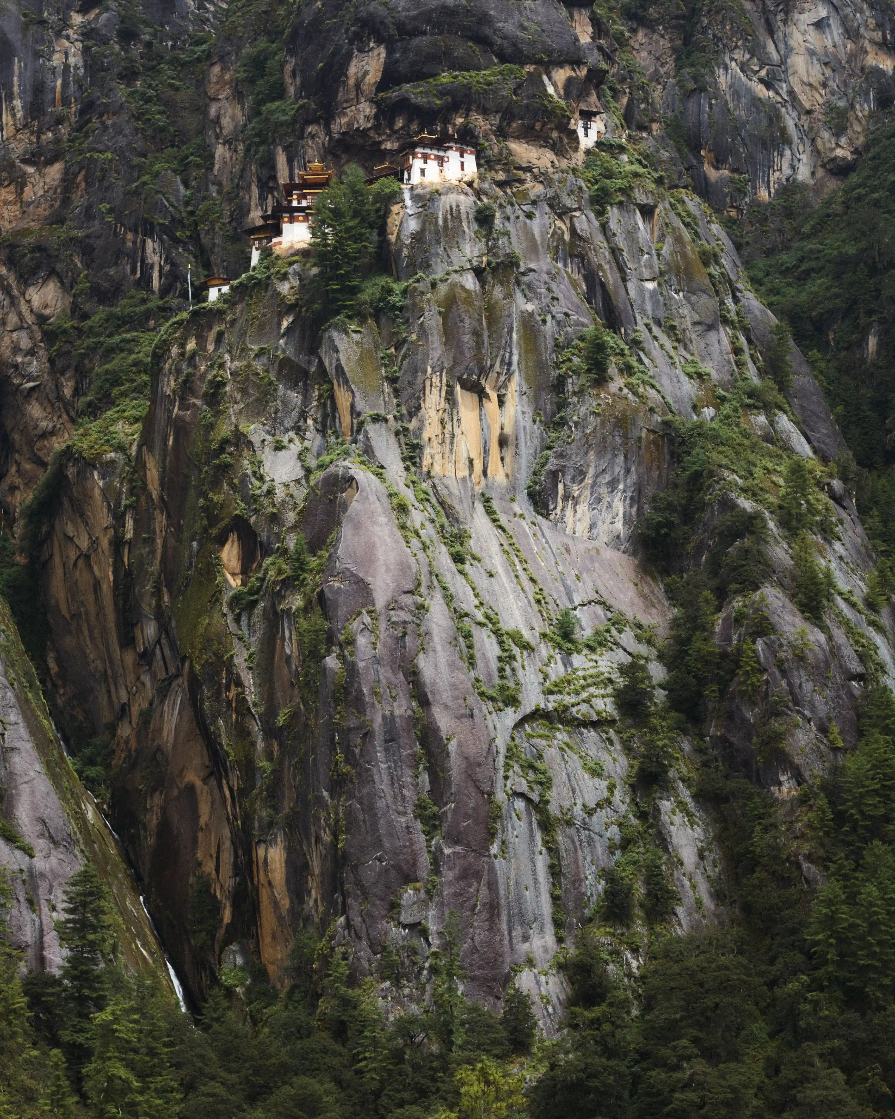 Glint of Bhutan gallery 2