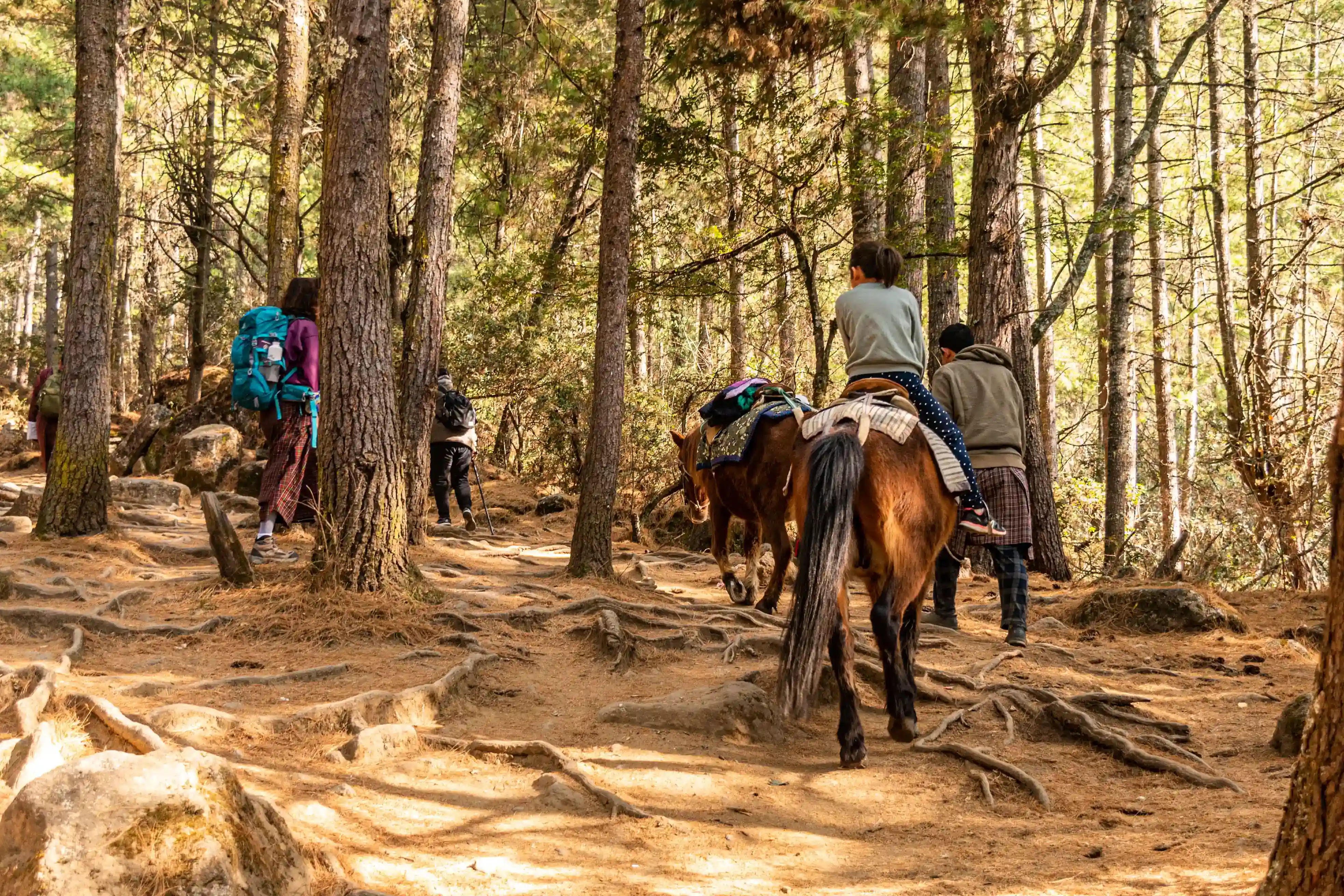 Jomolhari Trek gallery 4